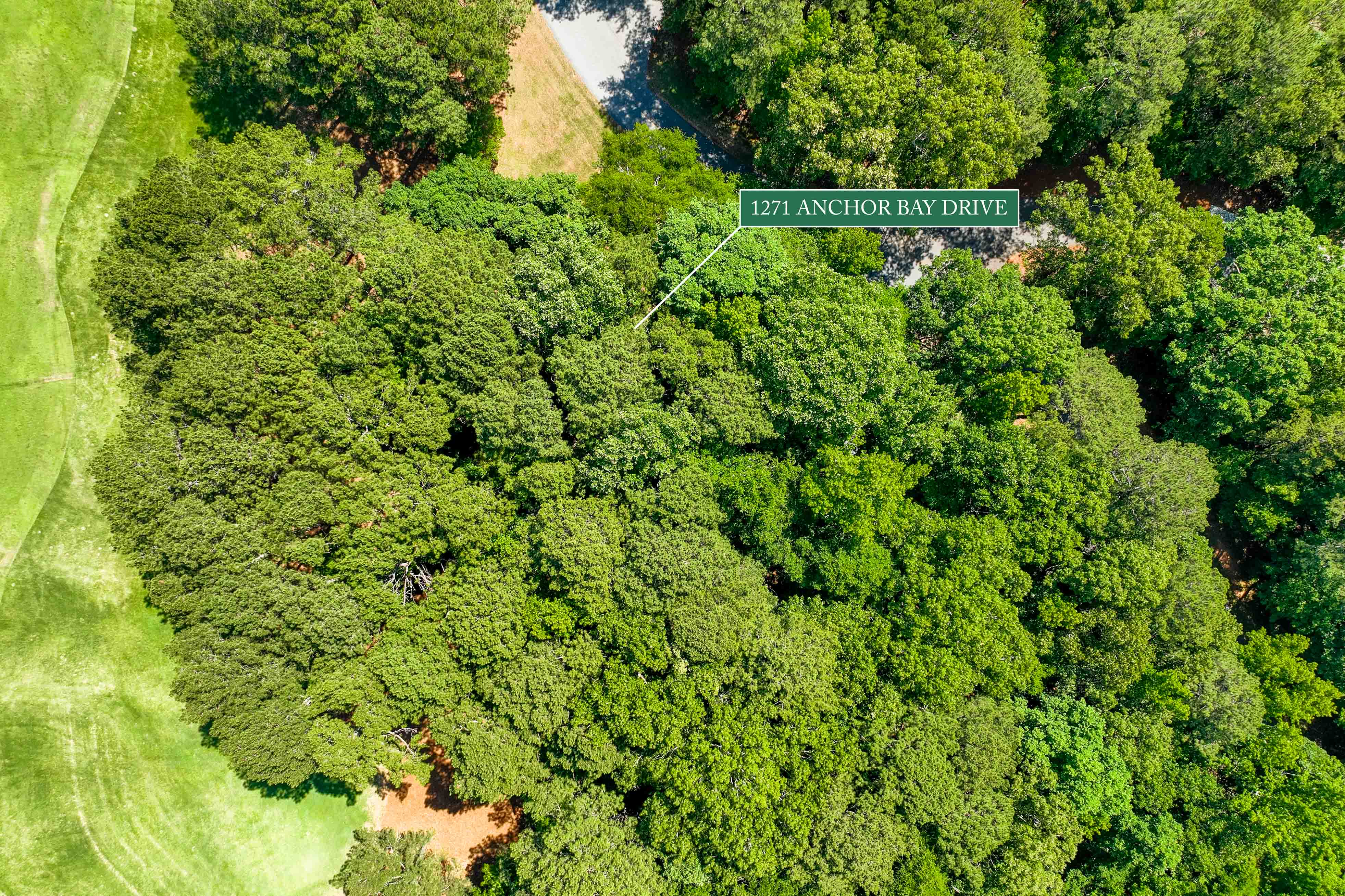 1271 Anchor Bay Drive image 12
